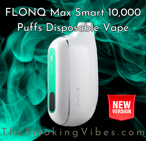 Buy VapeSoul LCD 10000 Puffs Mesh Disposable