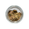moon-men-thcp-indoor-flower-blue-alien-indica