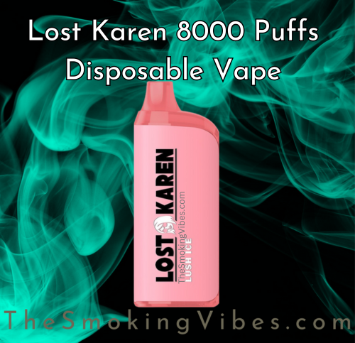 Lost Karen 8000 Puffs Disposable Vape