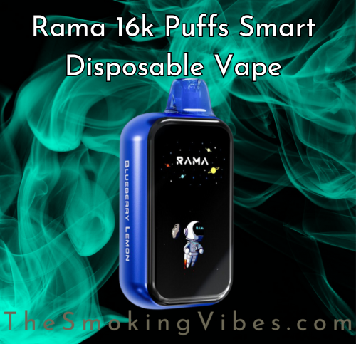 
                      
                        Rama 16k Puffs Smart Disposable Vape
                      
                    