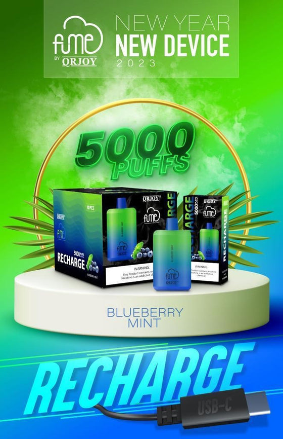 fume-recharge-disposabe-vape-blueberry-mint-1-pack-smoking-vibes